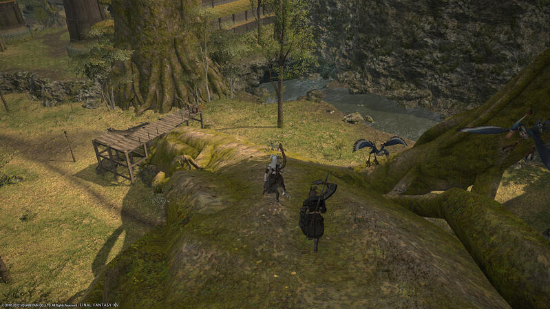 Scouting Mission March 10