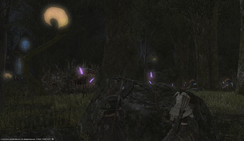 Scouting Mission March 10